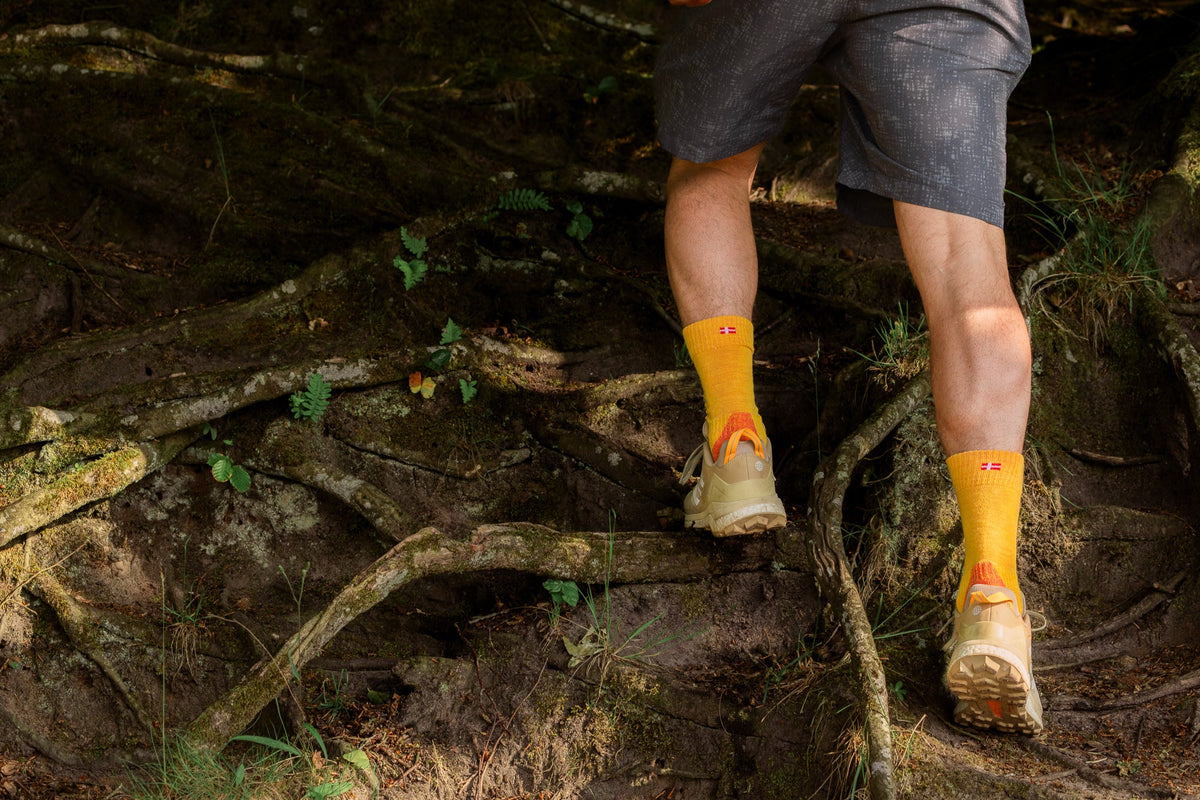 Best Sellers Socks - DANISH ENDURANCE