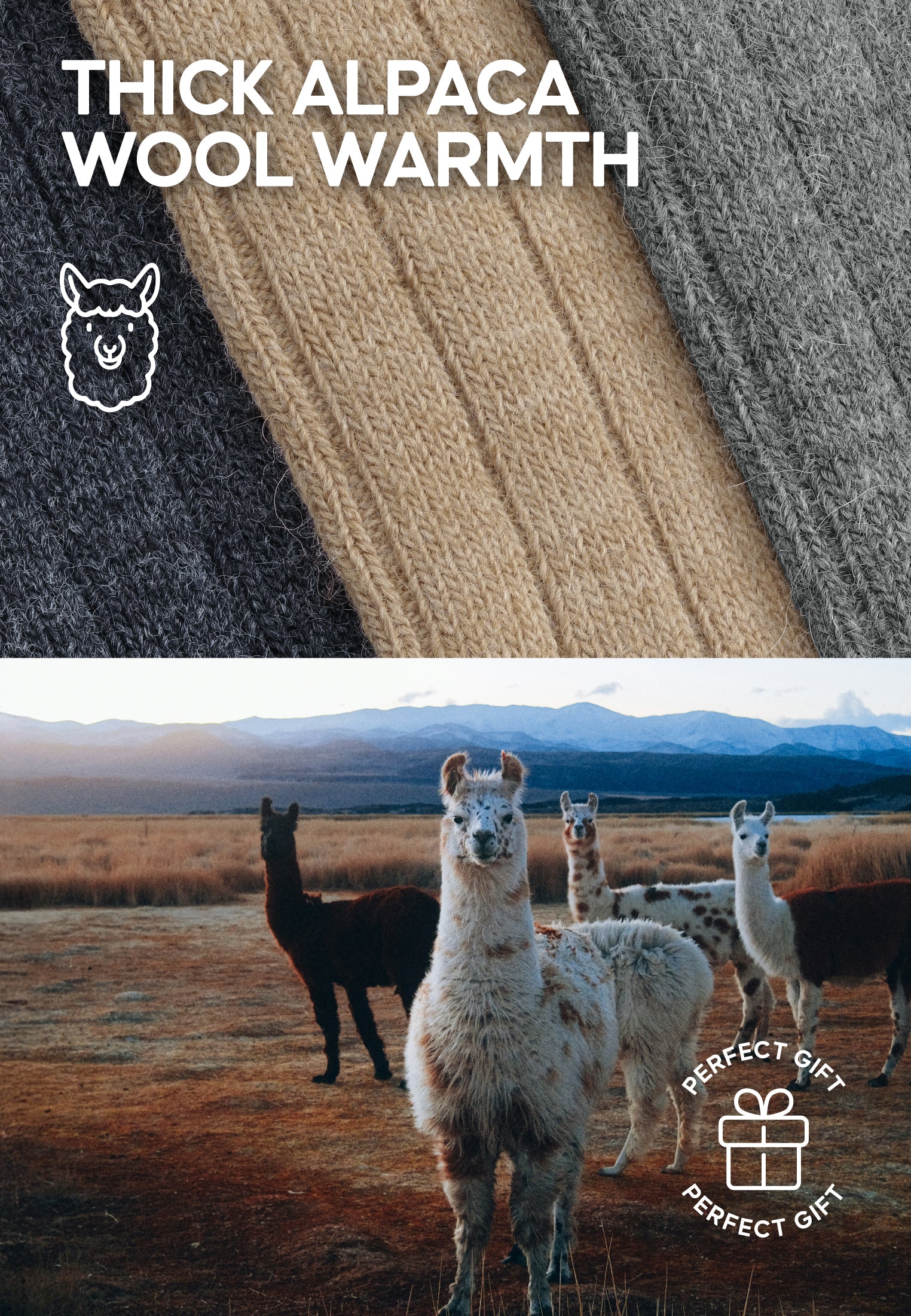 Close-up of thick alpaca wool textures and alpacas in a field, emphasizing warmth and gift appeal.