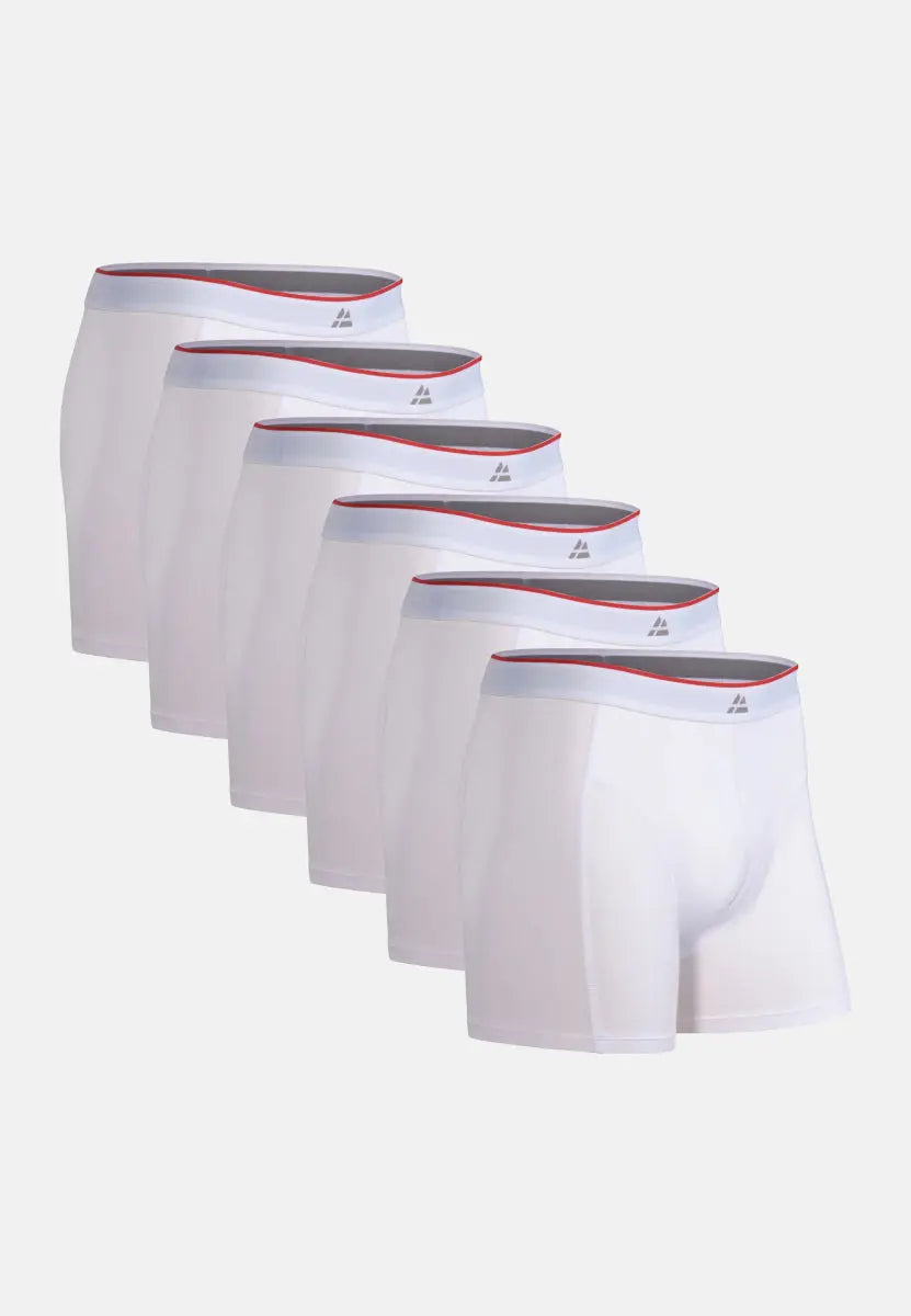 Five white bamboo trunks with red-gray waistbands, arranged in a row, on a plain background.