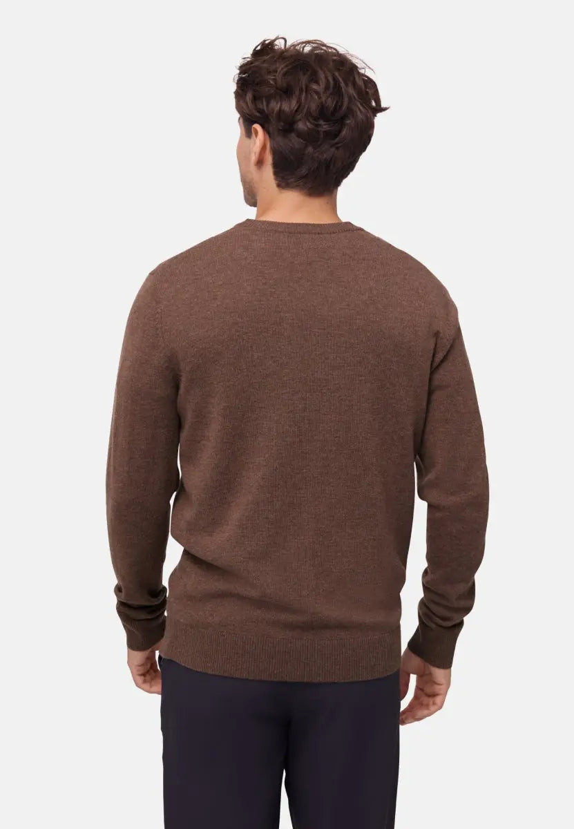 Man wearing a brown Merino cashmere sweater, viewed from the back, showing fit and texture.
