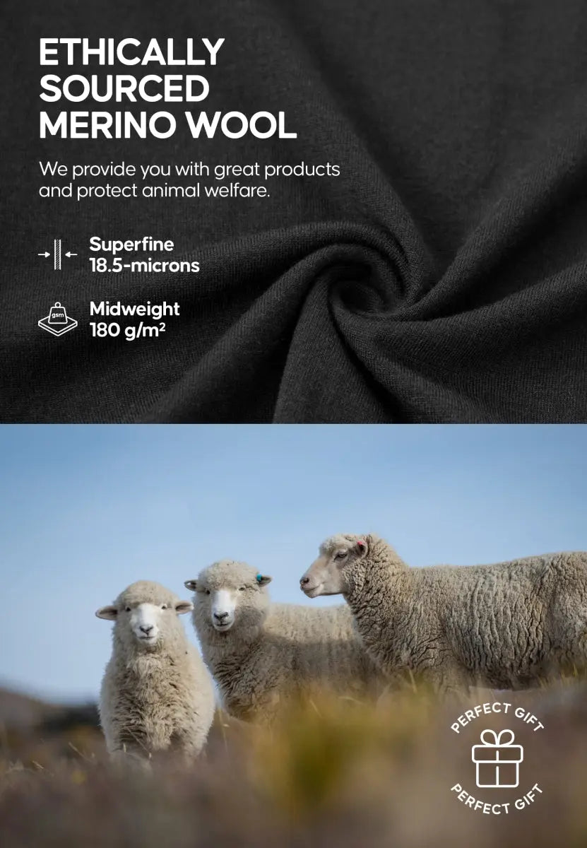 Close-up of black fabric with text on merino wool and three sheep in a field.