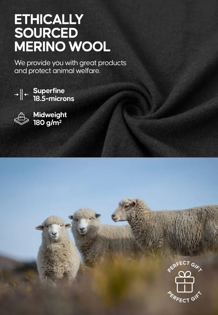 Black fabric detail with text on merino wool qualities; three sheep grazing in a field under blue sky.