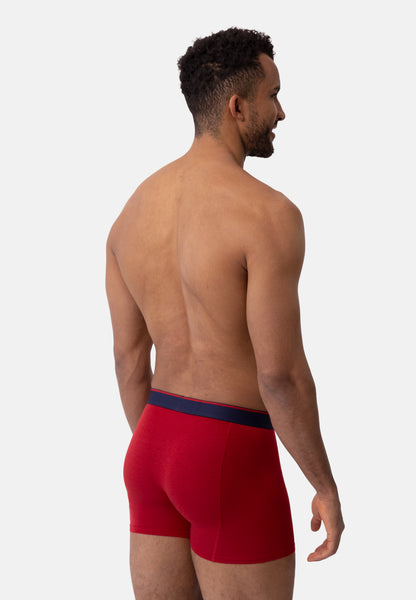 BOXERS DE BAMBÚ