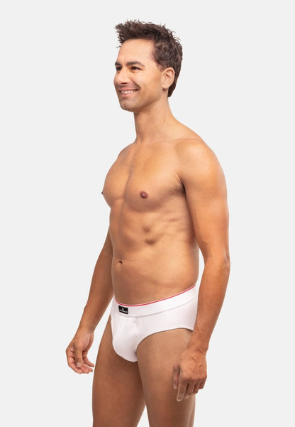 COTTON BRIEFS - DANISH ENDURANCE