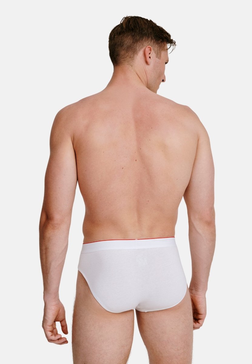 COTTON BRIEFS - DANISH ENDURANCE