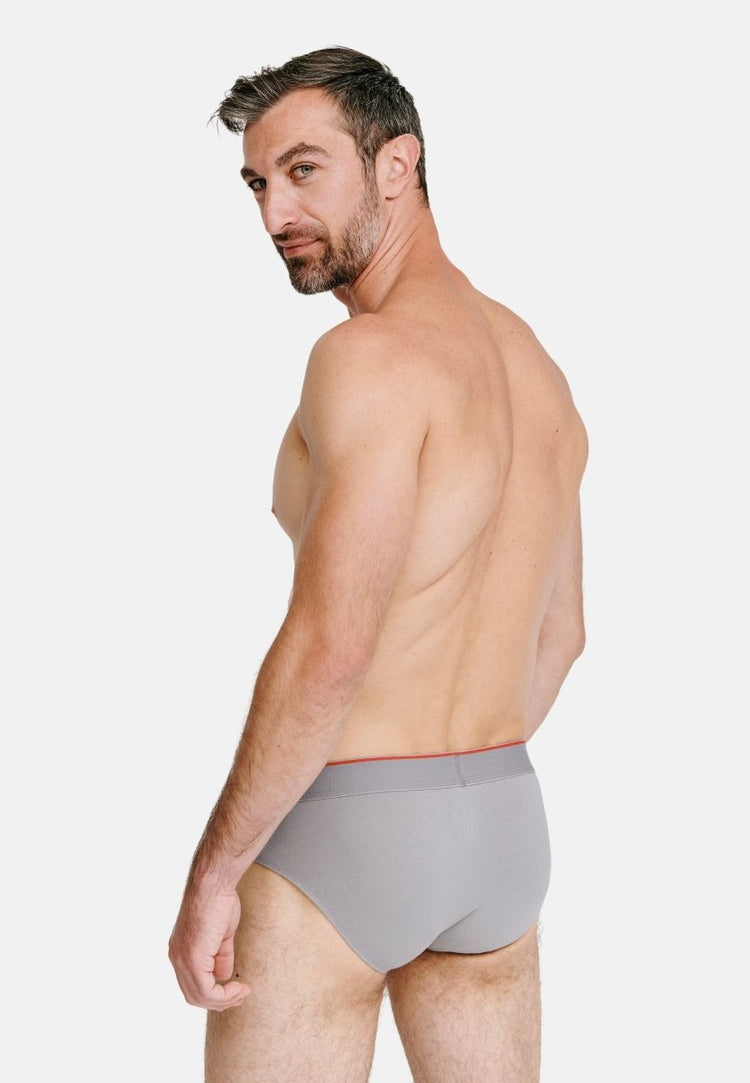 COTTON BRIEFS - DANISH ENDURANCE