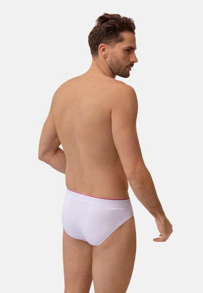 COTTON BRIEFS - DANISH ENDURANCE