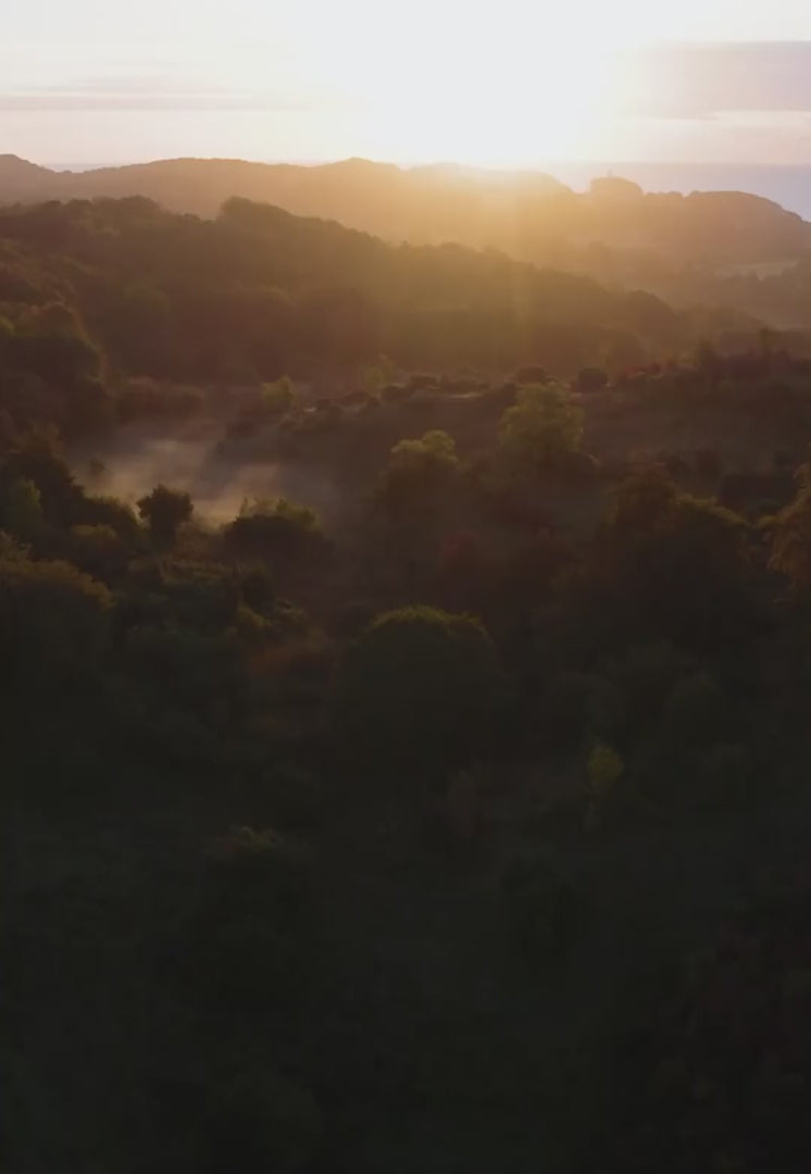 MERINO WOL FIETSSOKKEN